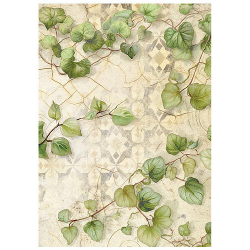 Stamperia - All Around - A6 Rice Paper - 8 Pack