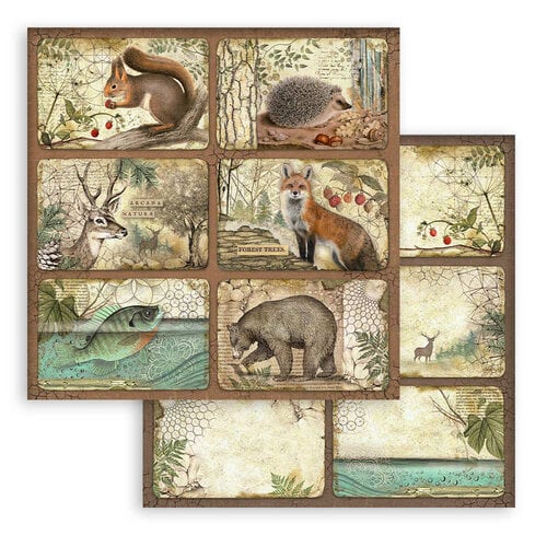 Stamperia - Forest Collection - 12 x 12 Paper Pad