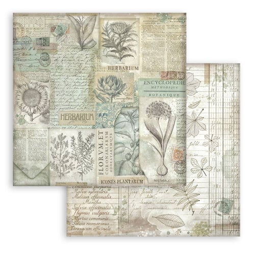 Stamperia - Herbarium Silvae - 8 x 8 Paper Pad - Backgrounds