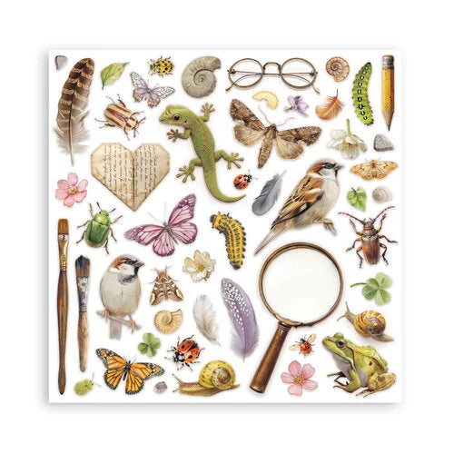 Stamperia - All Around - 12 x 12 Paper Pad