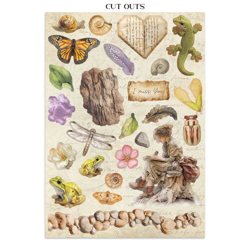 Stamperia - All Around - Junk Journal - Stickers, Cut-Outs, and Backgrounds