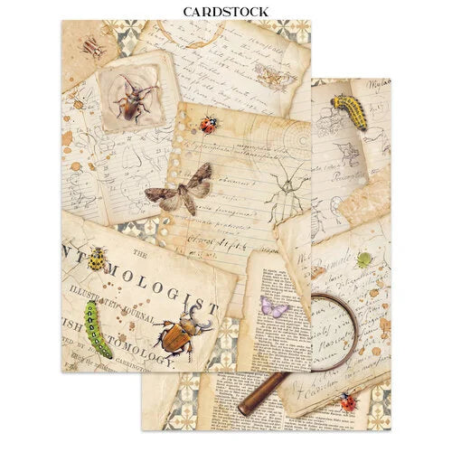 Stamperia - All Around - Junk Journal - Stickers, Cut-Outs, and Backgrounds