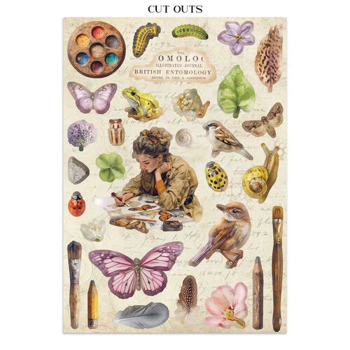 Stamperia - All Around - Junk Journal - Stickers, Cut-Outs, and Backgrounds