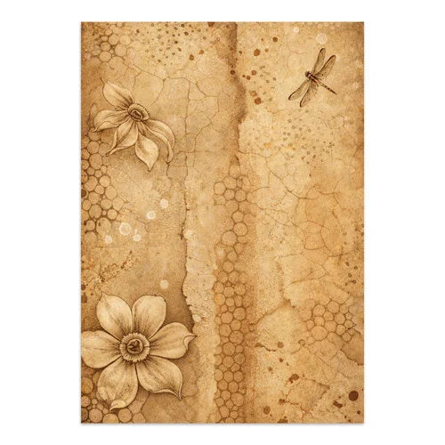 Stamperia - All Around - Junk Journal - Focus Points