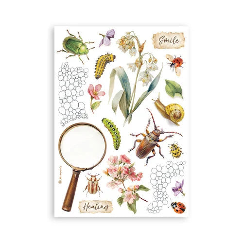 Stamperia - All Around - Washi Pad - 8 Sheets