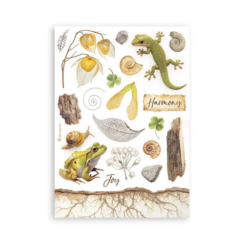 Stamperia - All Around - Washi Pad - 8 Sheets