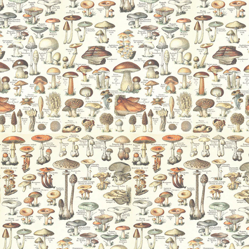 Tim Holtz - Idea-ology - Palette Collection - 12 x 12 Paper Pack - Orange