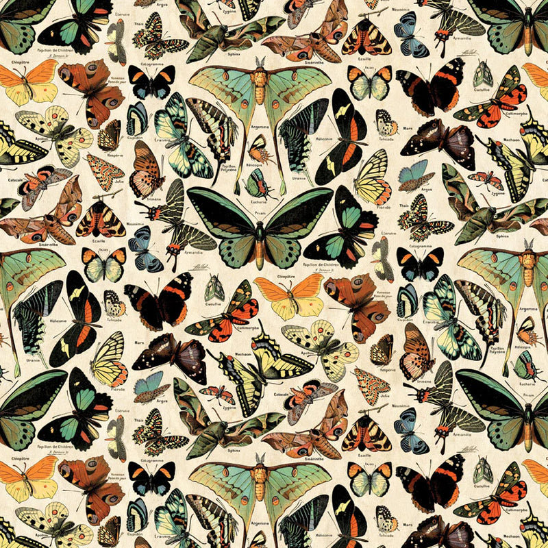 Tim Holtz - Idea-ology - Palette Collection - 8 x 8 Paper Pack - Teal