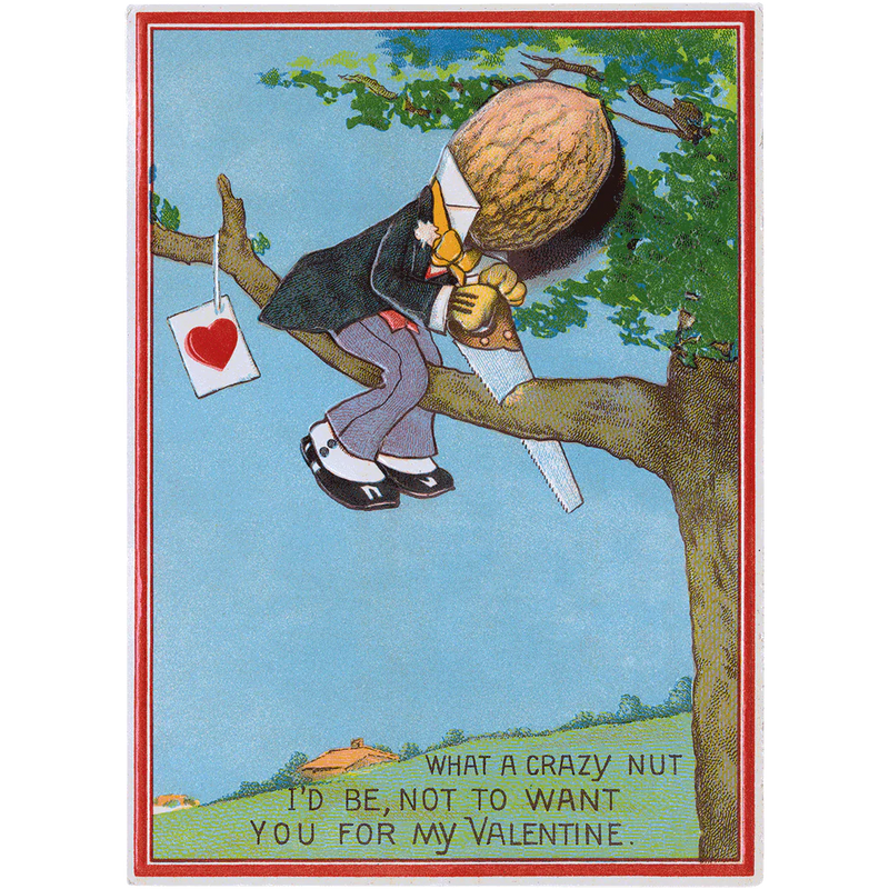 Laughing Elephant - Funny Valentines - Valentines Greeting Card Packet