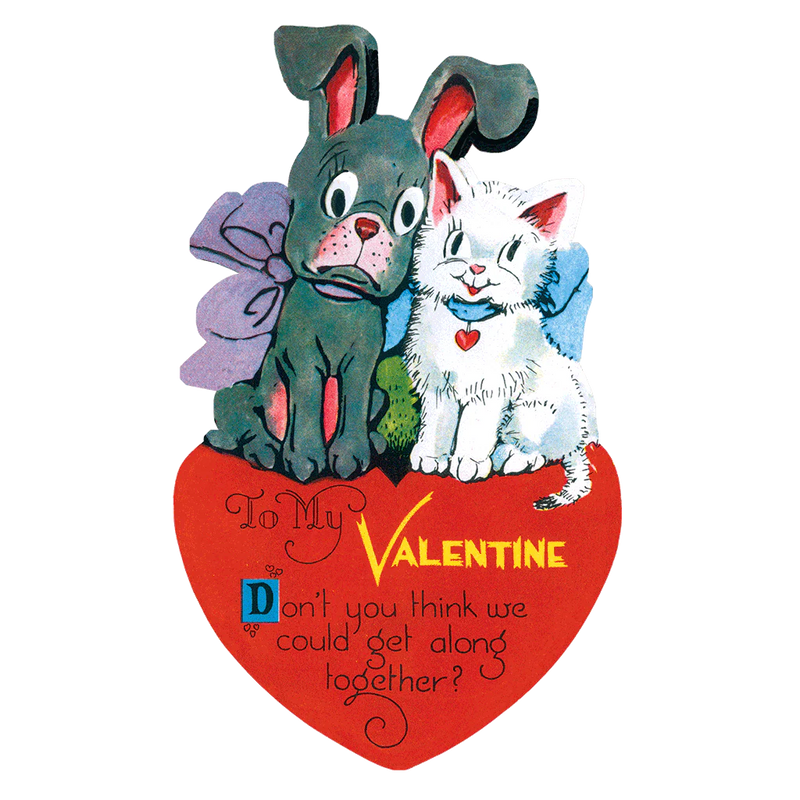 Laughing Elephant - Animal Fun - Valentines Greeting Card Packet