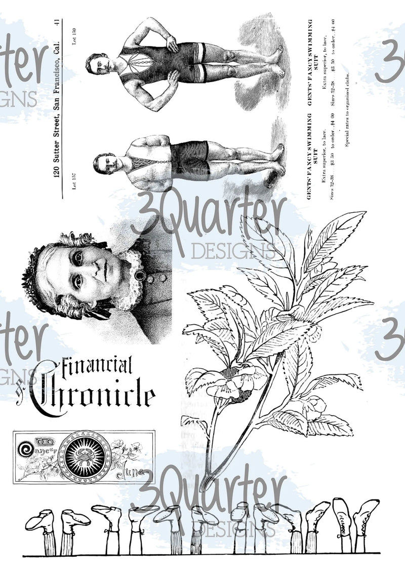 3Quarter Designs - Vellum 12 Sheet Pack - Classically Vintage