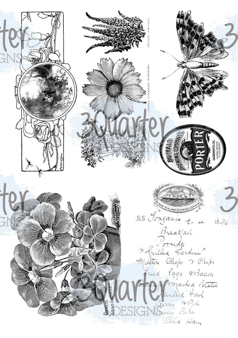 3Quarter Designs - Vellum 12 Sheet Pack - Classically Vintage