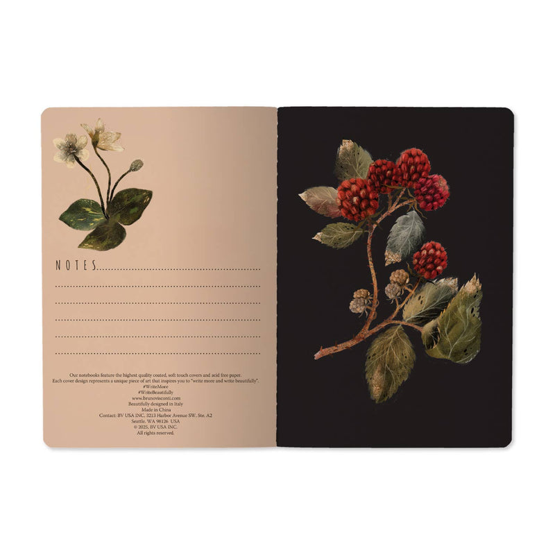 BV by Bruno Visconti - Forest Sparrows