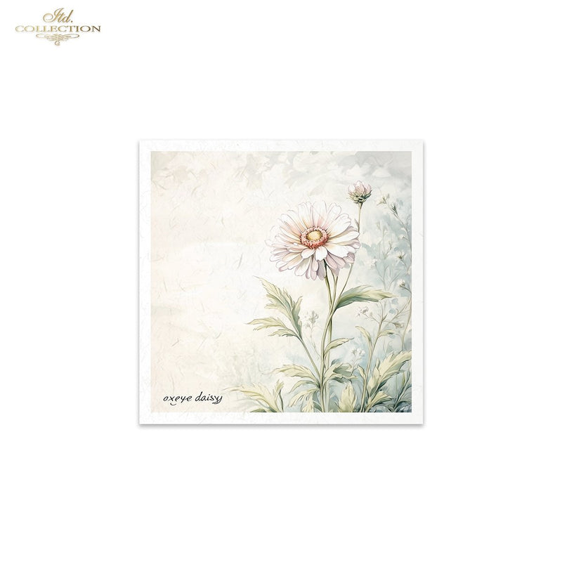 ITD Collection - Rice Paper Set Mini - Floral Shabby Chic - RSM175