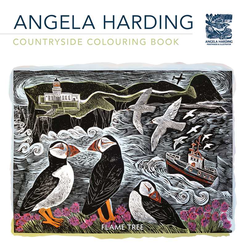 Coloring Books