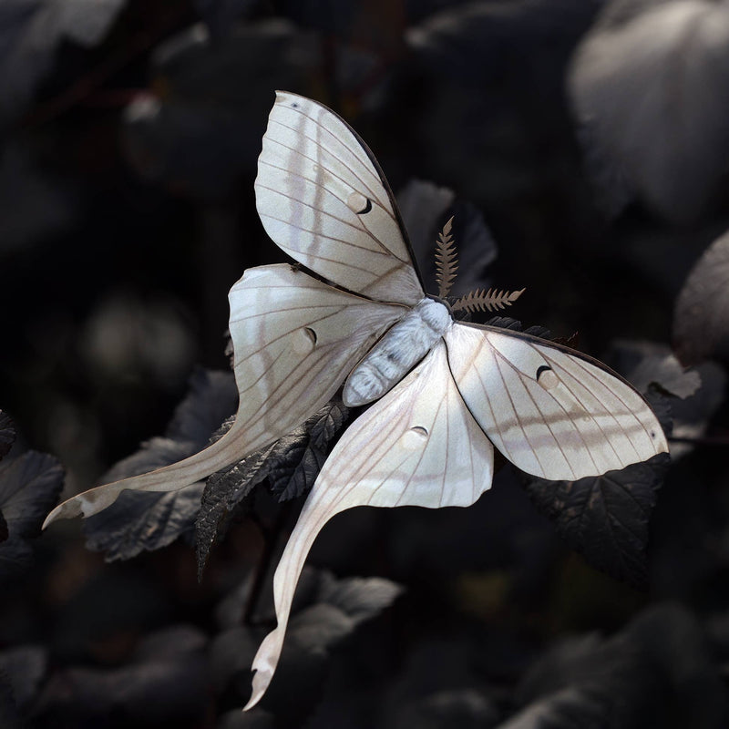 Moth and Myth - 'Lore' Moth Set