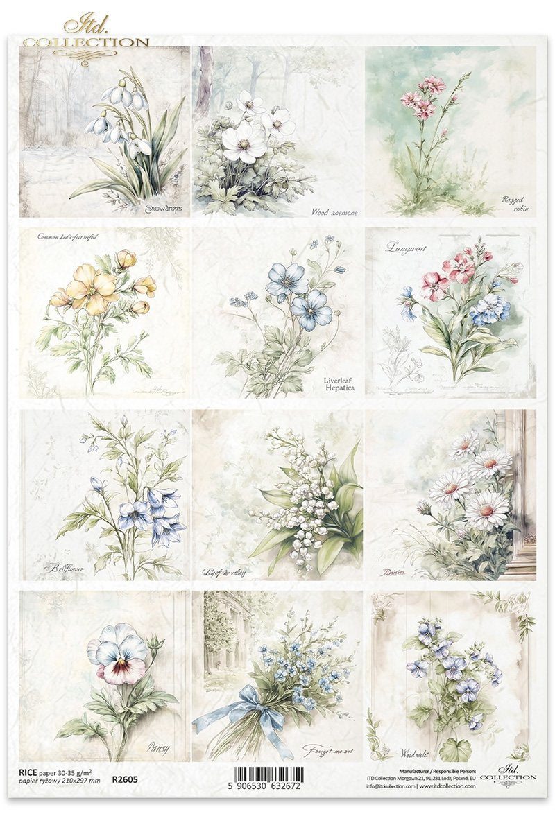 ITD Collection - Floral Shabby Chic - Rice Paper - R2605