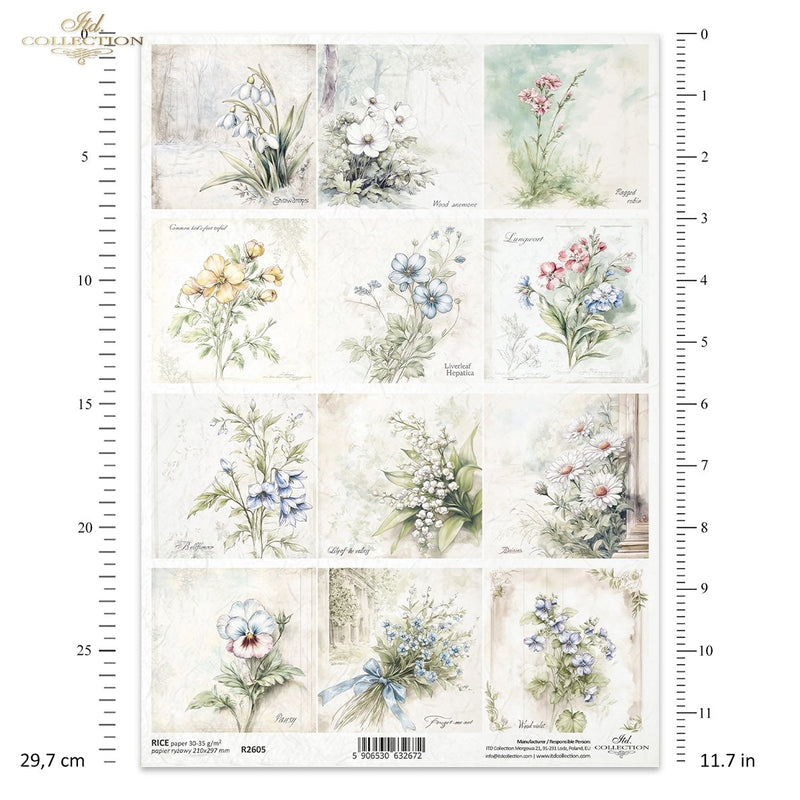ITD Collection - Floral Shabby Chic - Rice Paper - R2605