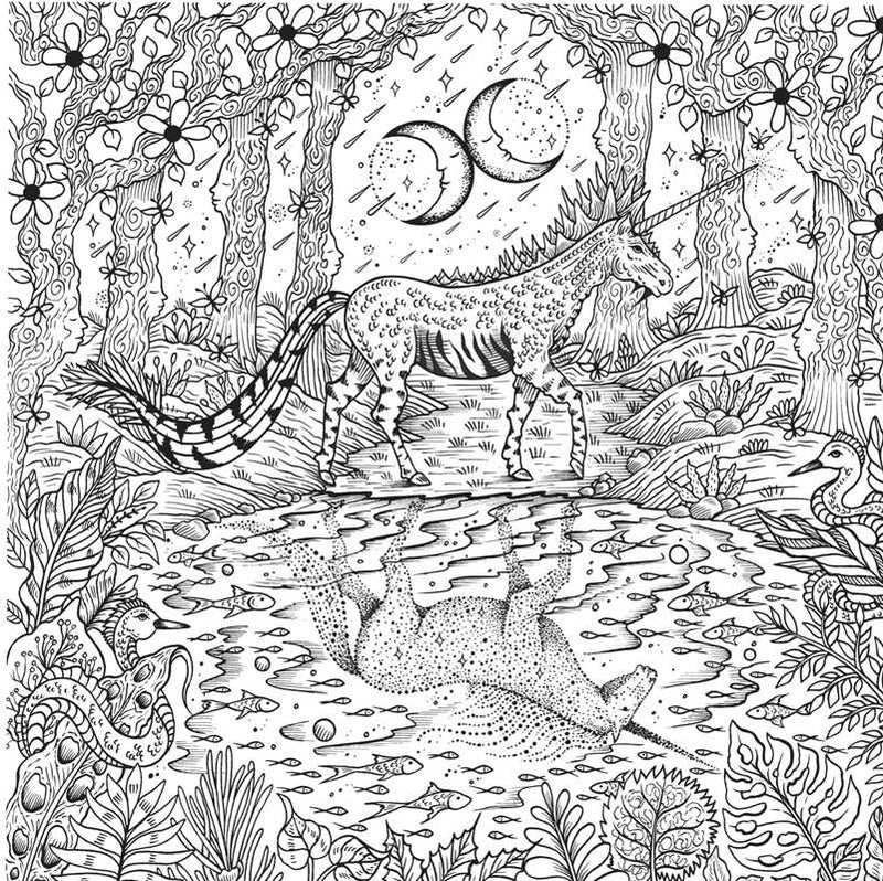 Melpomeni Chatzipanagiotou - Dream Voyage: A Fantasy Coloring Journey