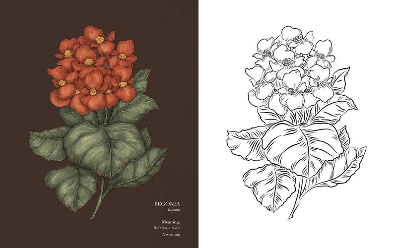 Jessica Roux - Floriography Coloring Book