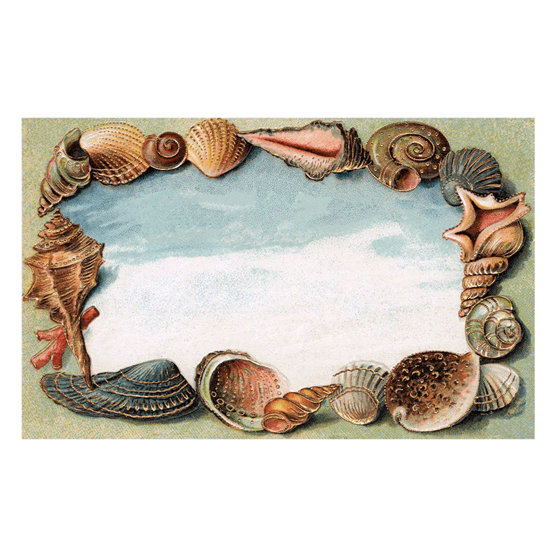 Laughing Elephant - Decorative Borders - Everyday Sticker Pack