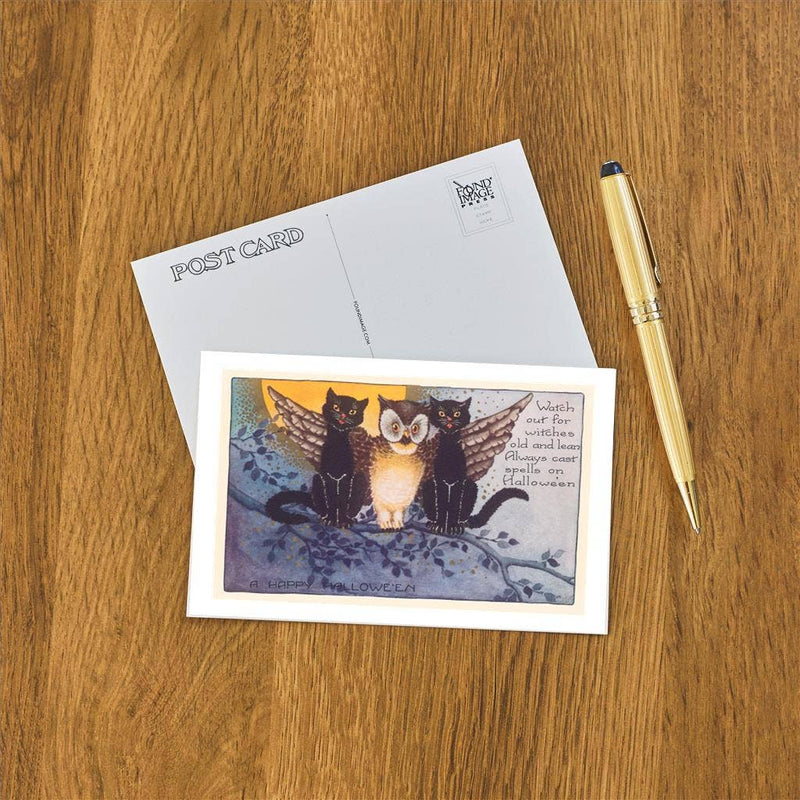Found Image Press - Postcard - Owl and Black Cats