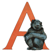 Animal Alphabet - Everyday Sticker Box - Root & Company