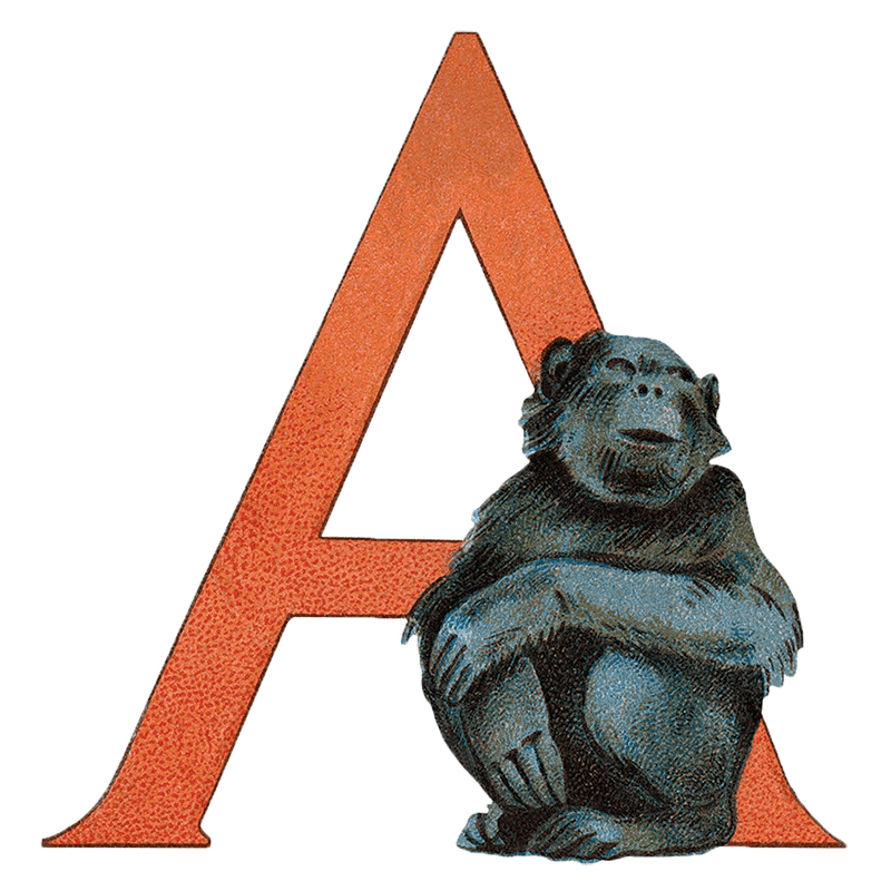 Animal Alphabet - Everyday Sticker Box - Root & Company