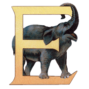 Animal Alphabet - Everyday Sticker Box - Root & Company
