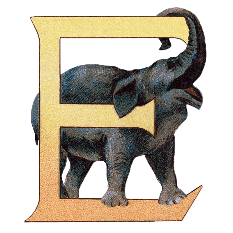 Animal Alphabet - Everyday Sticker Box - Root & Company