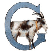 Animal Alphabet - Everyday Sticker Box - Root & Company