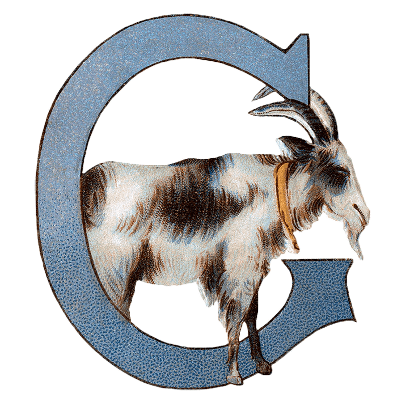 Animal Alphabet - Everyday Sticker Box - Root & Company