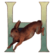 Animal Alphabet - Everyday Sticker Box - Root & Company