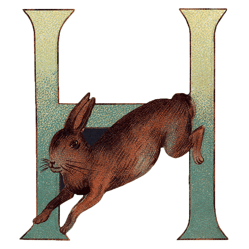 Animal Alphabet - Everyday Sticker Box - Root & Company