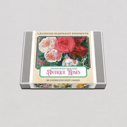 Antique Roses Postcard Box - Everyday Boxed Postcards - Root & Company