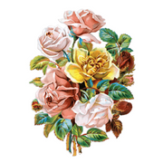 Antique Roses Postcard Box - Everyday Boxed Postcards - Root & Company