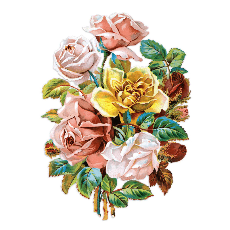 Antique Roses Postcard Box - Everyday Boxed Postcards - Root & Company
