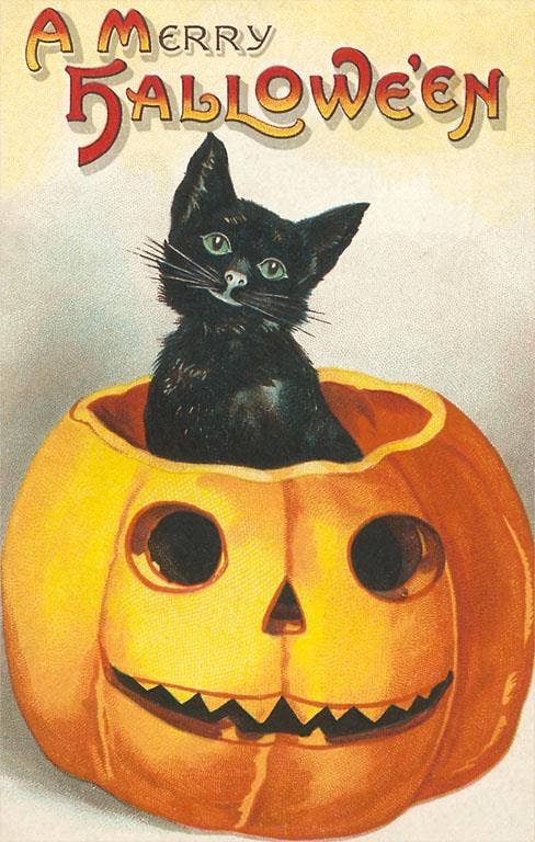 Found Image Press - Postcard - A Merry Halloween, Cat in Jack O'Lantern