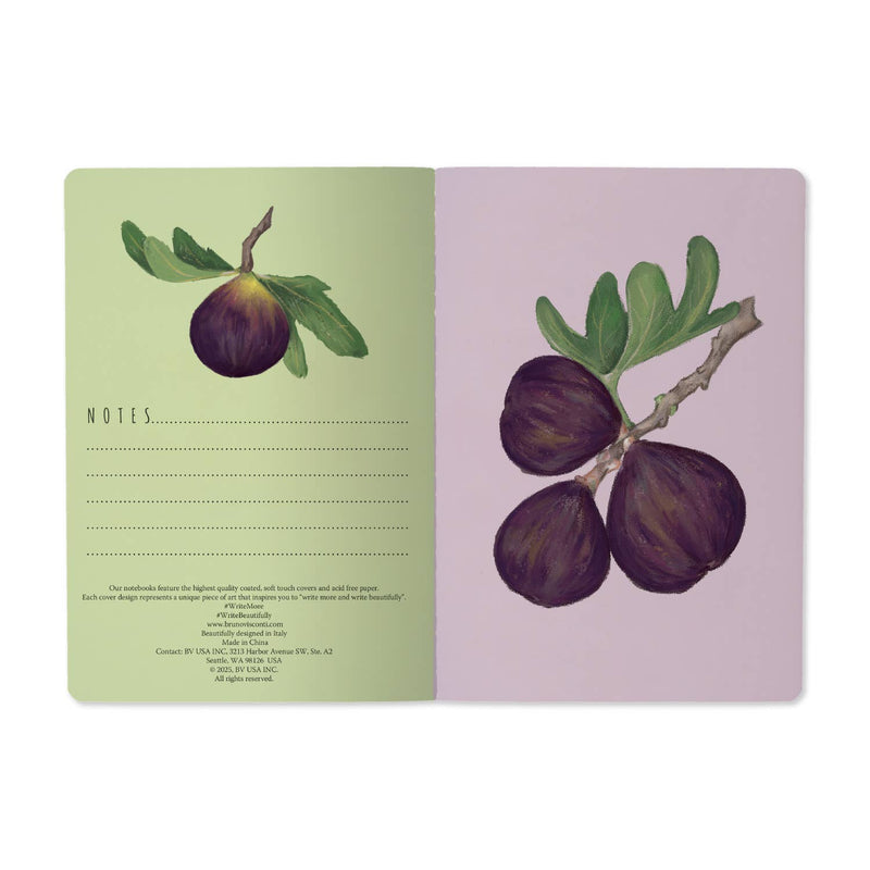 BV by Bruno Visconti - Figs on White