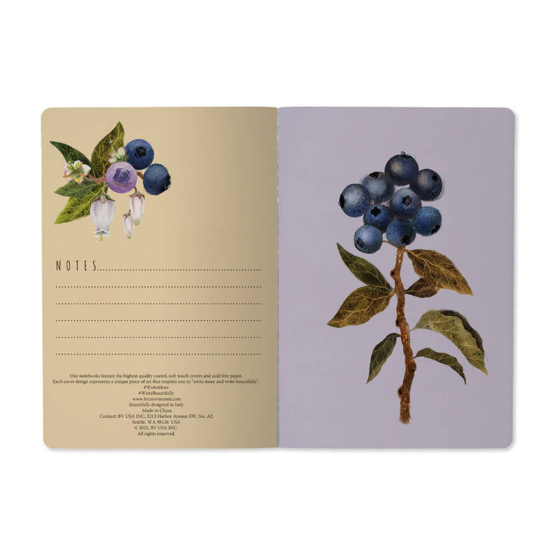 BV by Bruno Visconti - Wild Blueberry