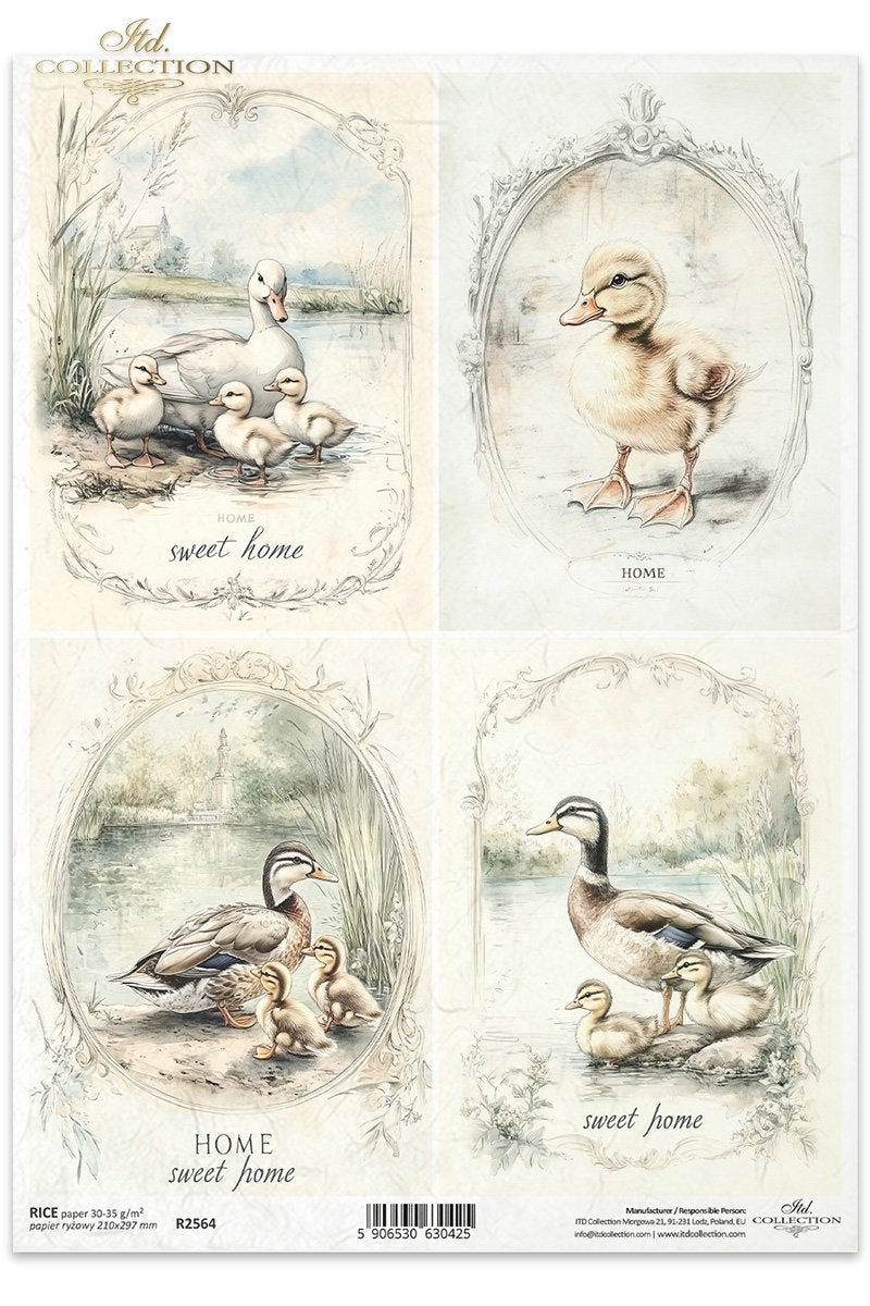 ITD Collection - Cottage in the Country - Rice Paper - R2564