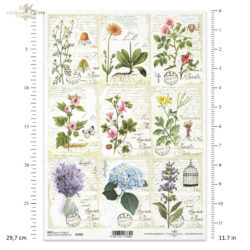 ITD Collection - Herbalist - Rice Paper - R2082