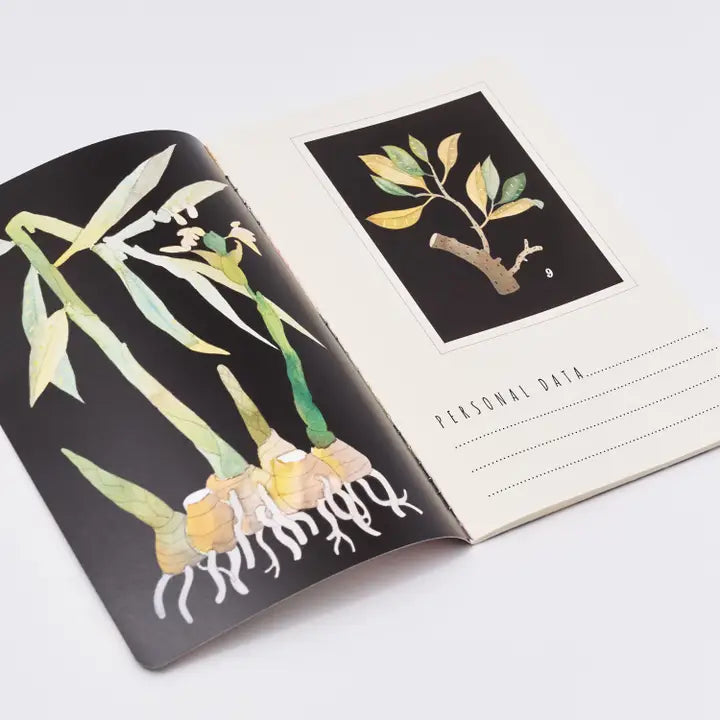 BV by Bruno Visconti - Botany Notebook