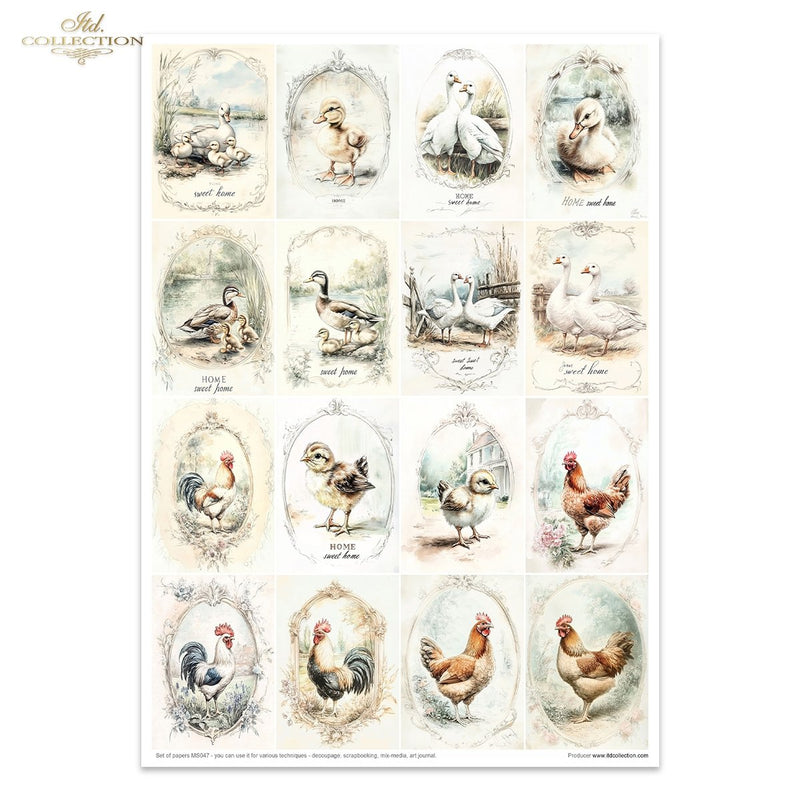 ITD Collection - Cottage in the Country Creative Set