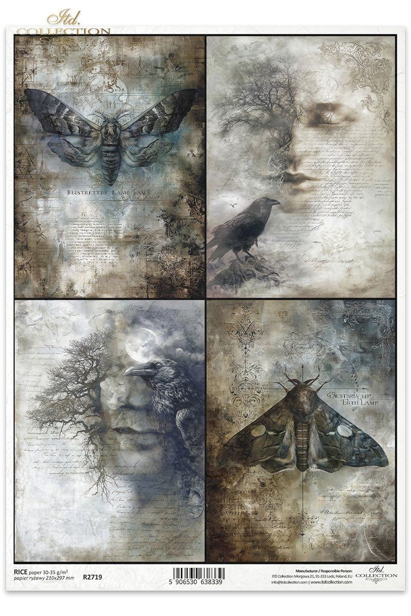 ITD Collection - Light & Shadow - Rice Paper - R2719