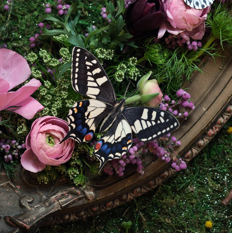 Moth and Myth - "Rocky Mountains" 3 Piece Butterfly Set