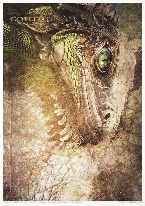 ITD Collection - An Undiscovered Magical World Creative Set