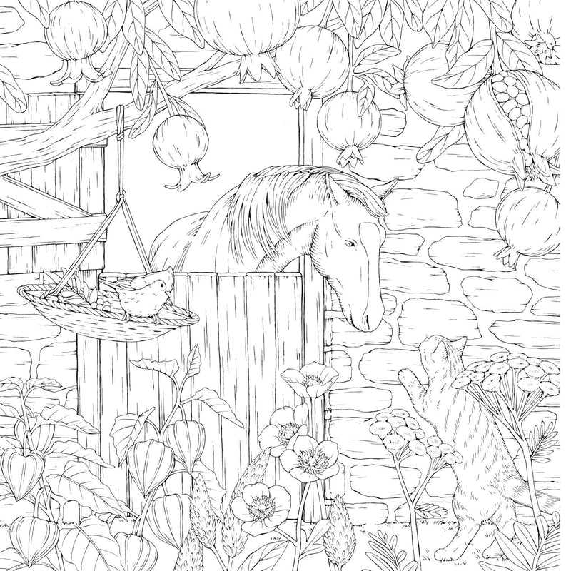 Kanoko Egusa - Leon's Journey Coloring Book - A Curious Cat's Adventure