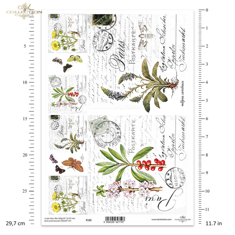 ITD Collection - Clear Film - F152