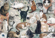 Bomo Art Paper - Wrapping Paper - The Nine Lives of Cats - Root & Company